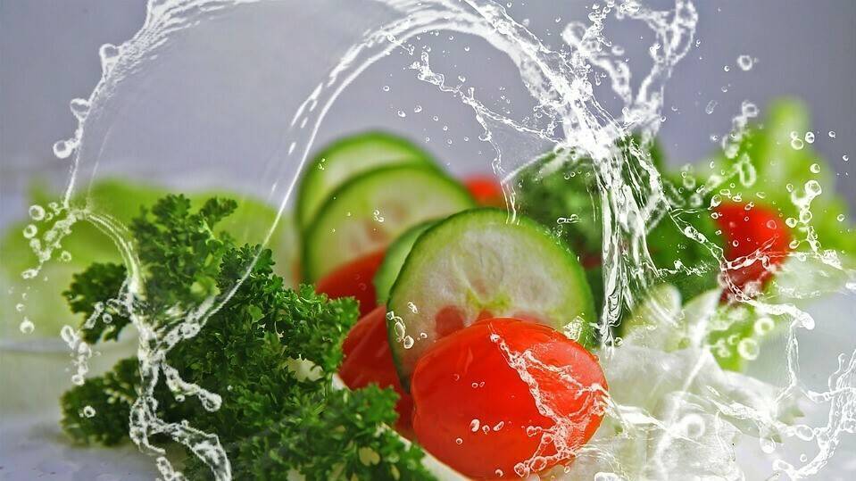 verduras|broccoli-494754_960_720